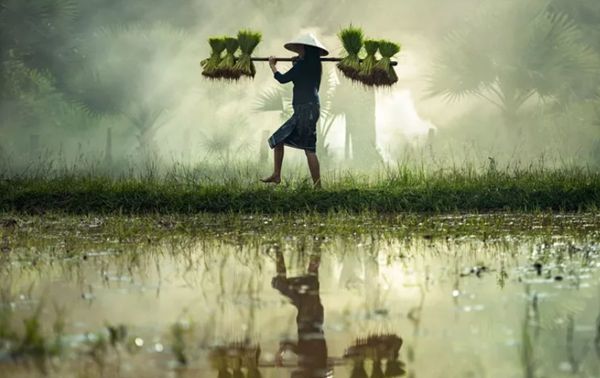 回歸鄉村，方知幸福 【輕鋼別墅】(圖3)