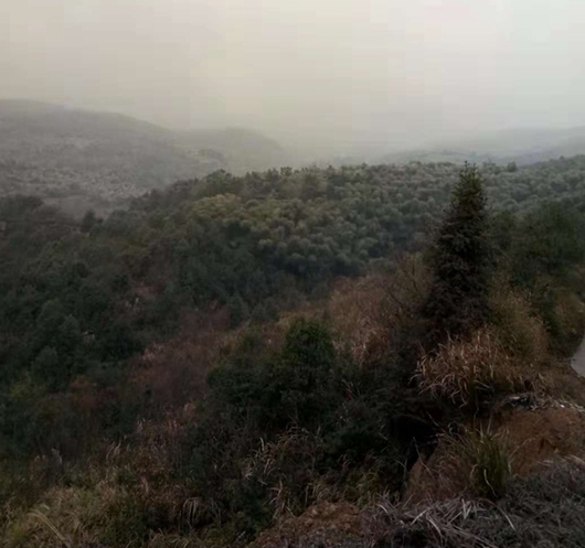 有故鄉者擁有幸福 ，你在他鄉還好嗎？(圖2)