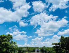 海南：放寬社會(huì)資本進(jìn)入農(nóng)村的限制！中國(guó)大農(nóng)場(chǎng)時(shí)代來(lái)臨？